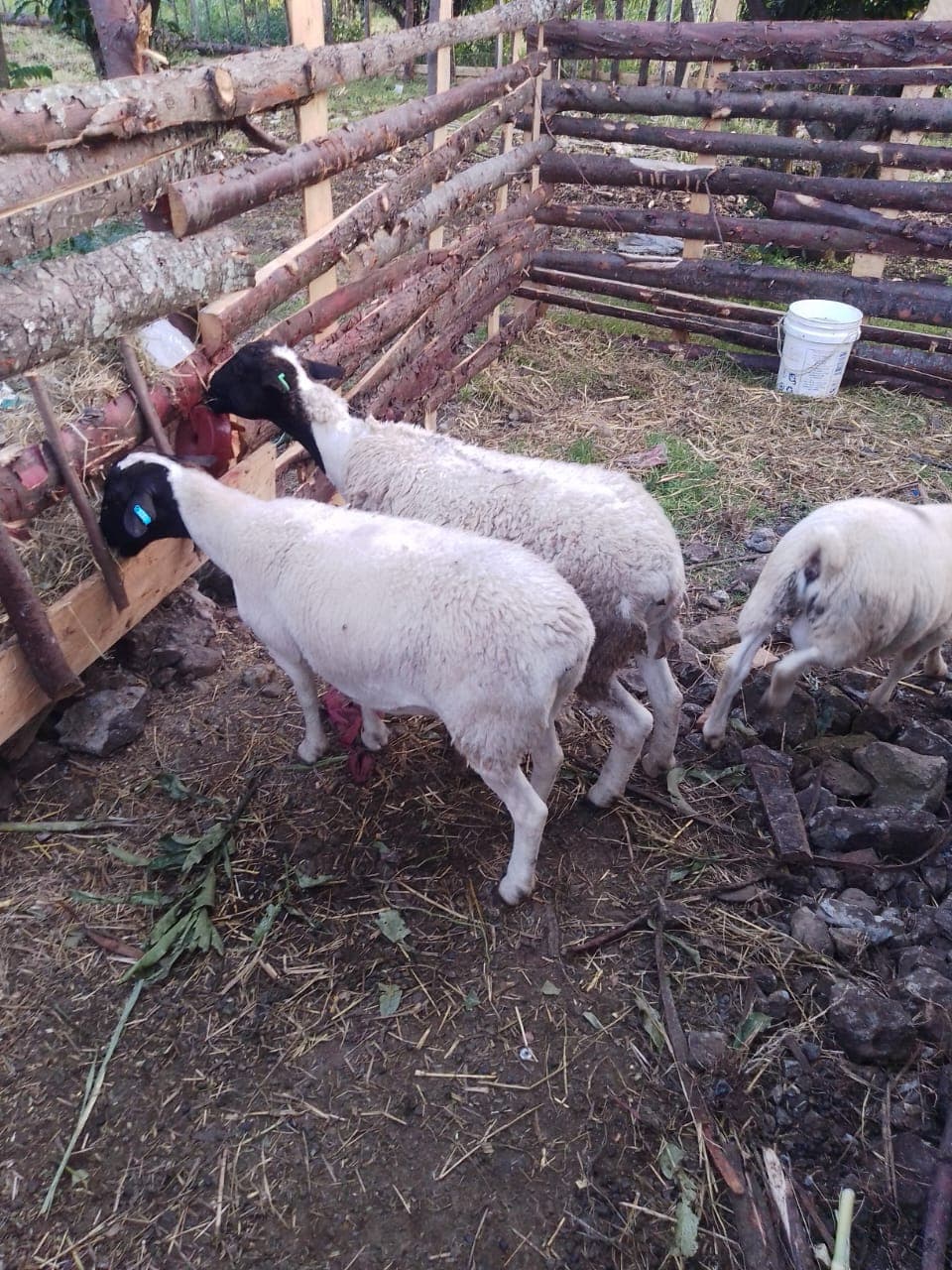 Community Health Outreach Reaches 50+ Members